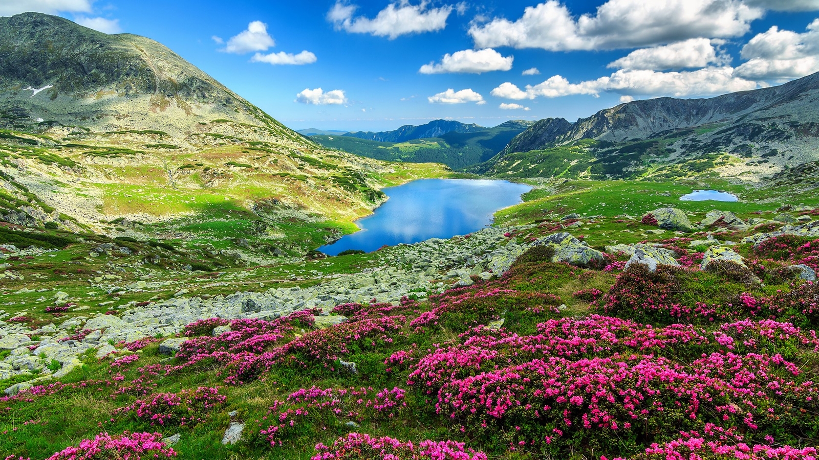 Landscape nature clouds sky pink flowers rocks mountains Custom Gaming Mat Desk