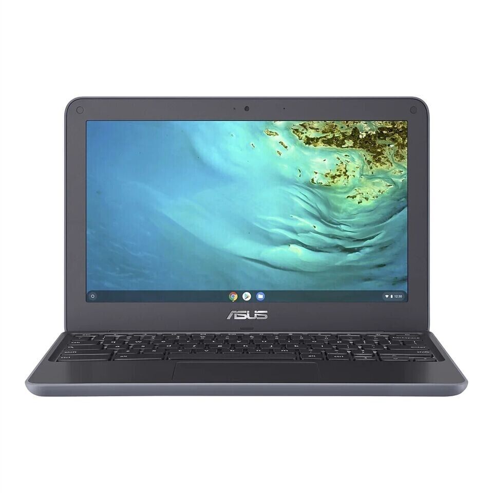 Asus Chromebook C203XA-YS02 11.6