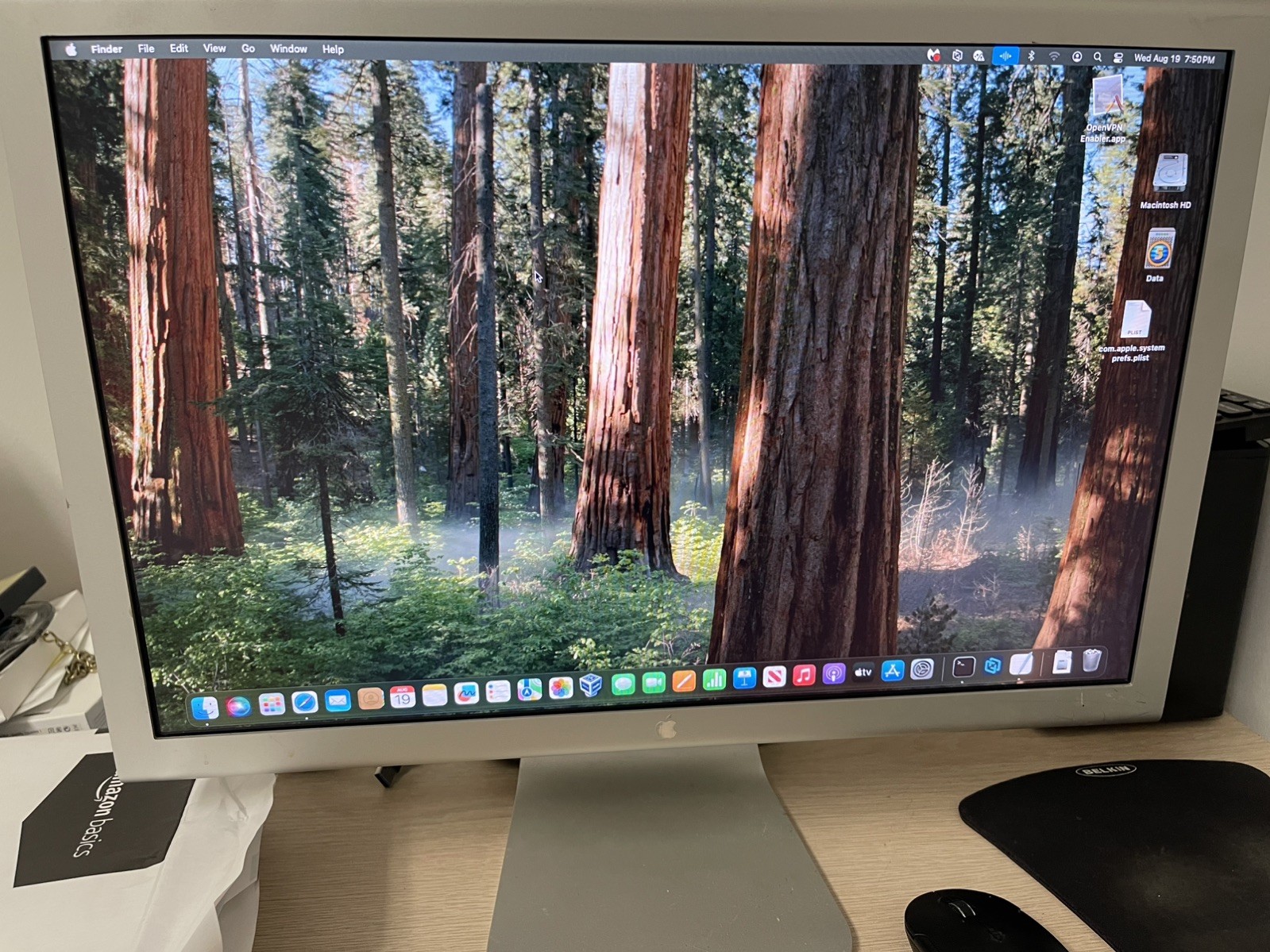 Apple Cinema Display A1081 20-inch Widescreen LCD with Power Supply