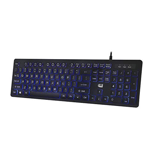 Adesso Large Print Illuminated Desktop Keyboard (AKB139EB)