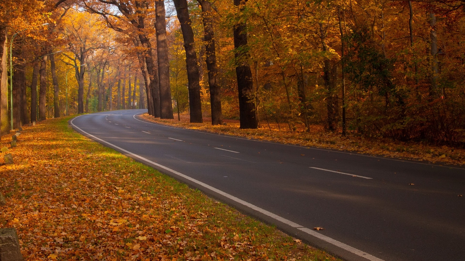 Landscape road fall asphalt fallen leaves Custom Gaming Mat Desk