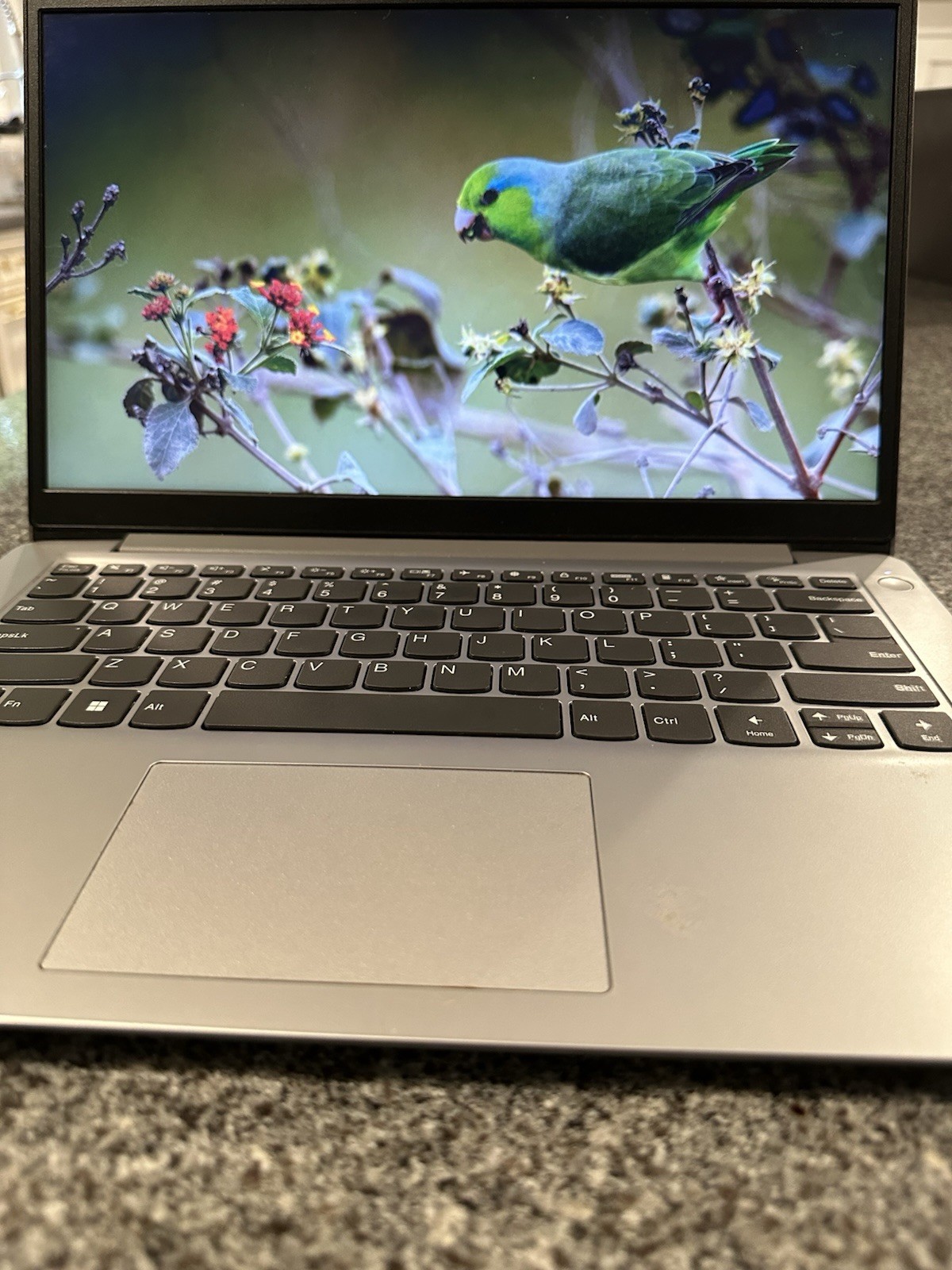 LENOVO IDEAPAD 1 14IGL7  14 inches laptop silver 