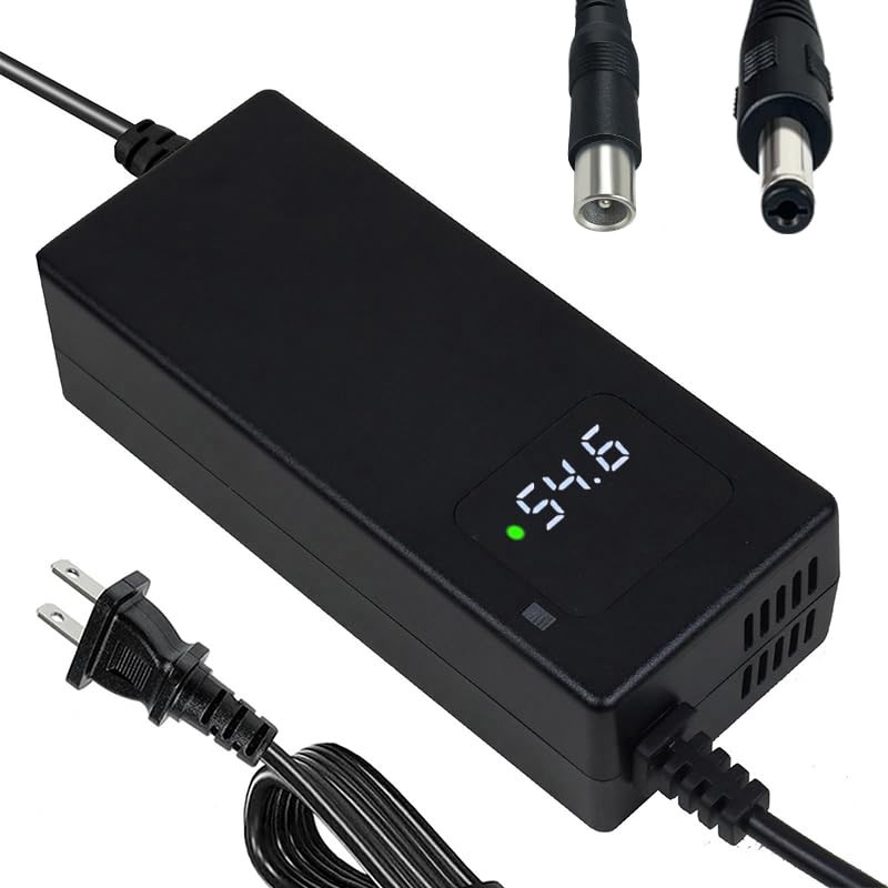 YANGZIDIANYUAN YZ100 54.6V 2A Battery Charger for 48V Li-ion Batteries