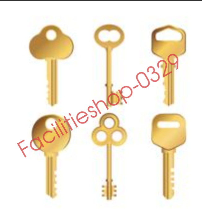 1pcs key key key