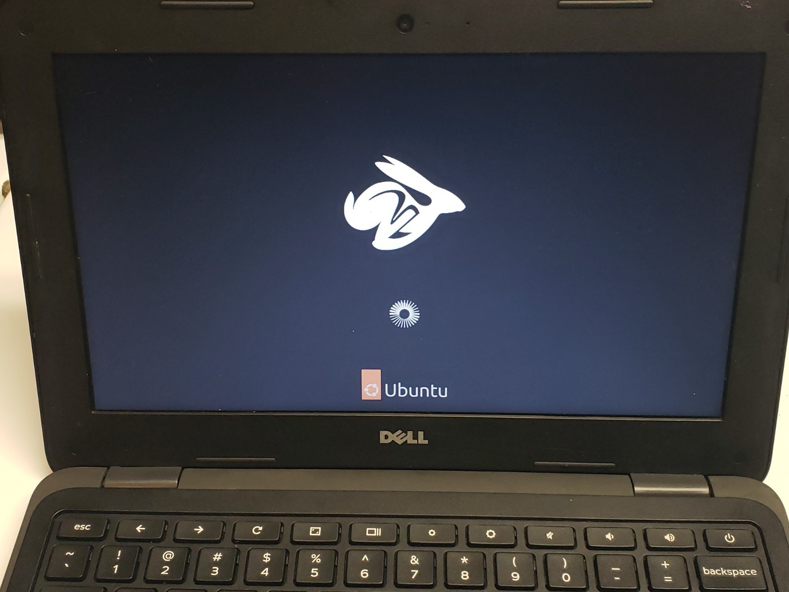 Dell Inspiron 3181 (Chrome OS replaced with Ubuntu - See Desc)