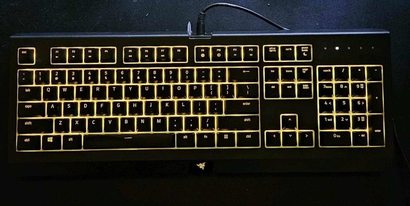 Razer - Cynosa Chroma Pro Wired Gaming Keyboard w/ Back Lighting - Black