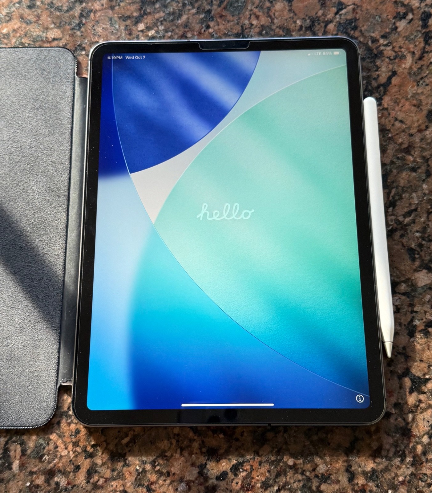 Apple iPad Pro  256GB Unlocked Great Condition - Grey MU162LL/A