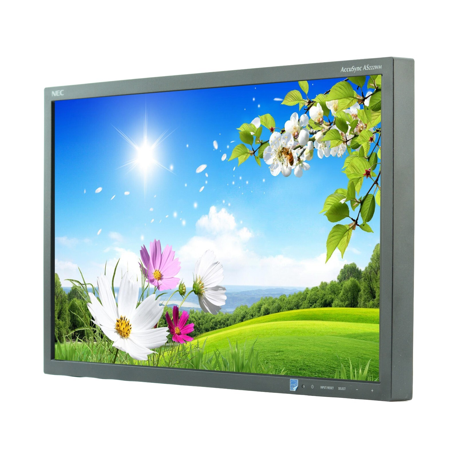 NEC AccuSync  AS222WM 22" Widescreen LCD Monitor - No Stand