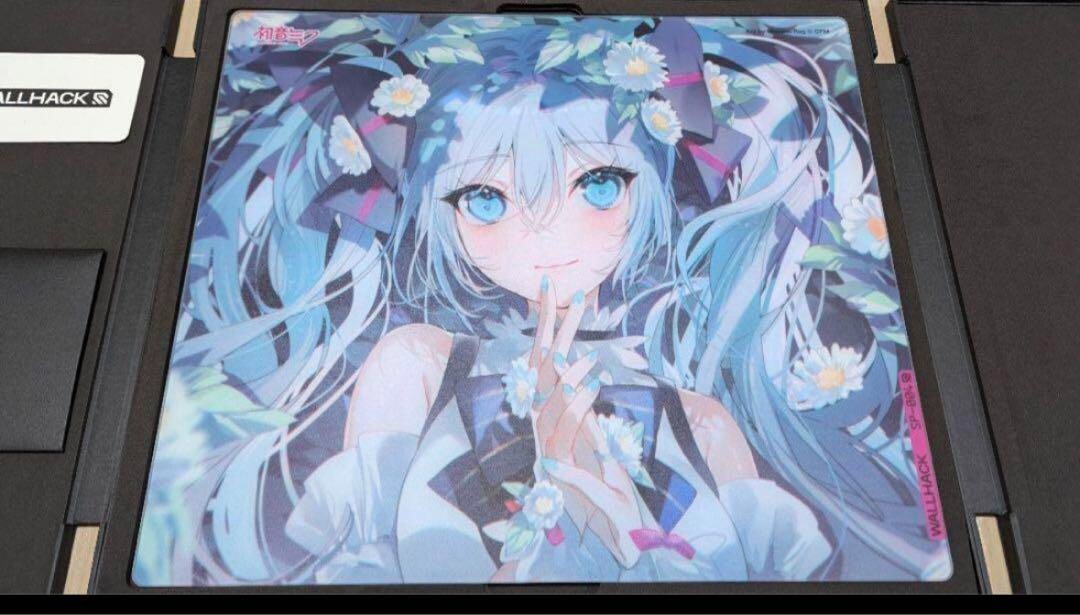 Wallhack/SkyPAD Glass Pad SP-004 Hatsune Miku JAPAN USED