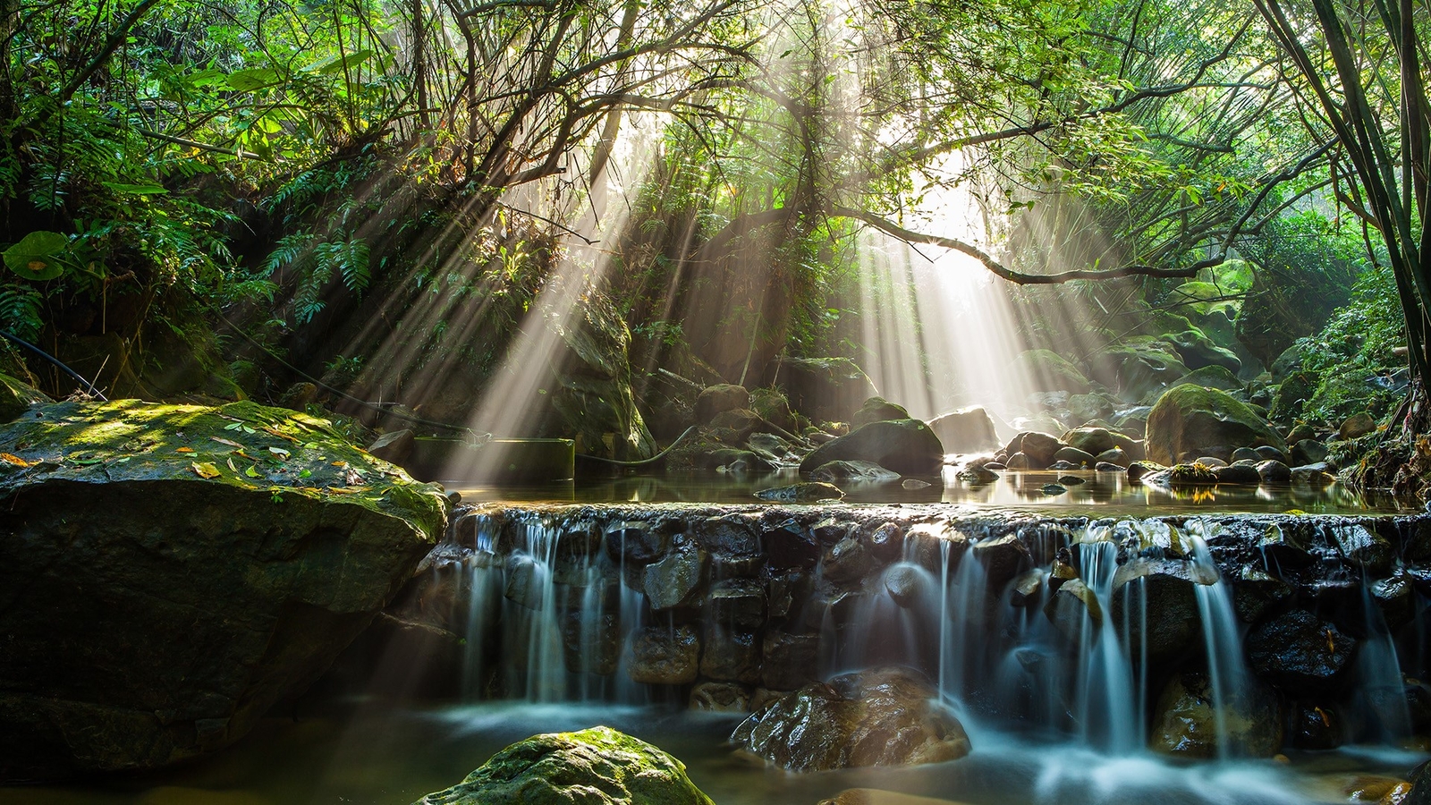 Landscape nature forest bamboo rocks water long exposure Custom Gaming Mat Desk