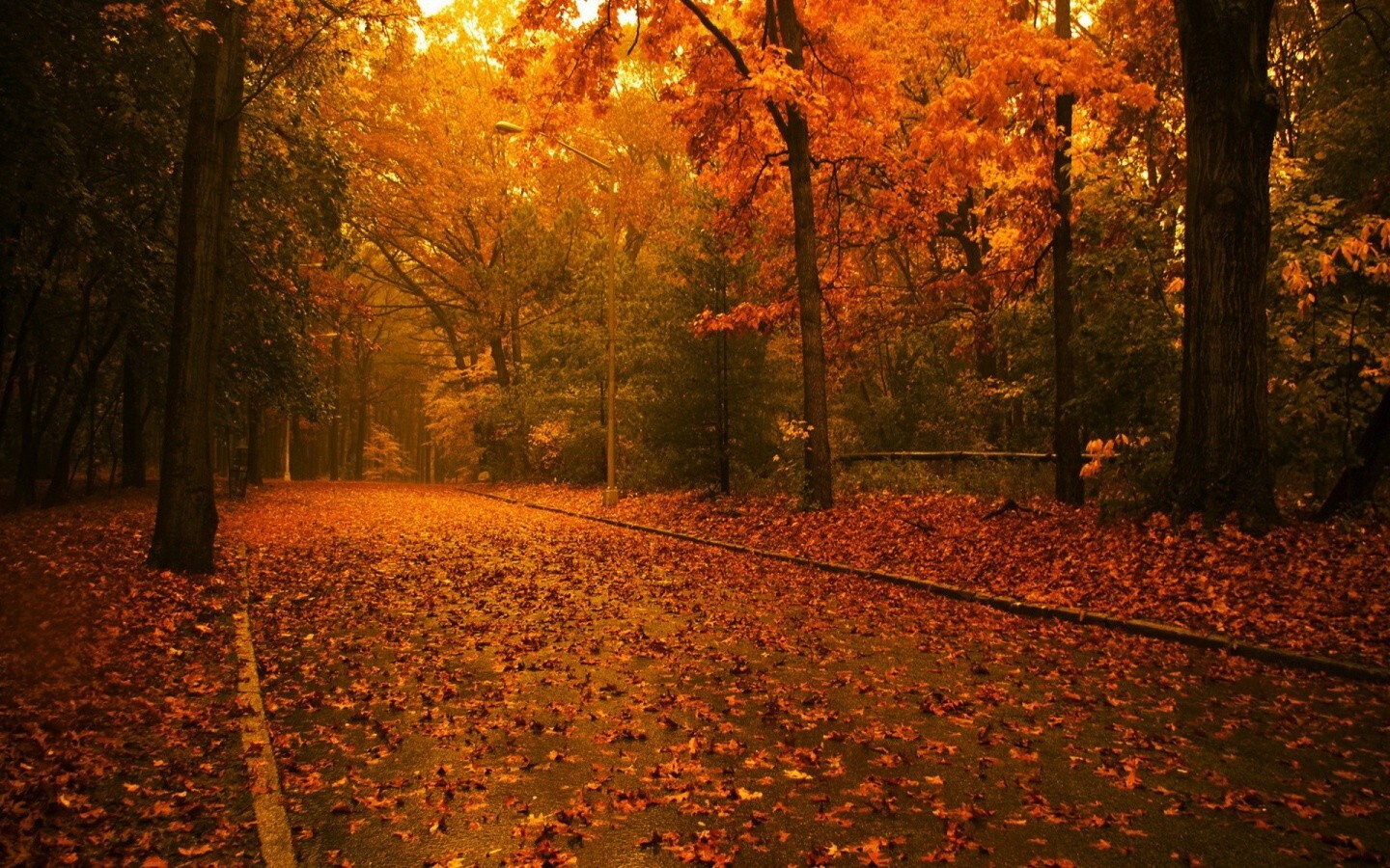 Landscape fall park trees fallen leaves Custom Gaming Mat Desk