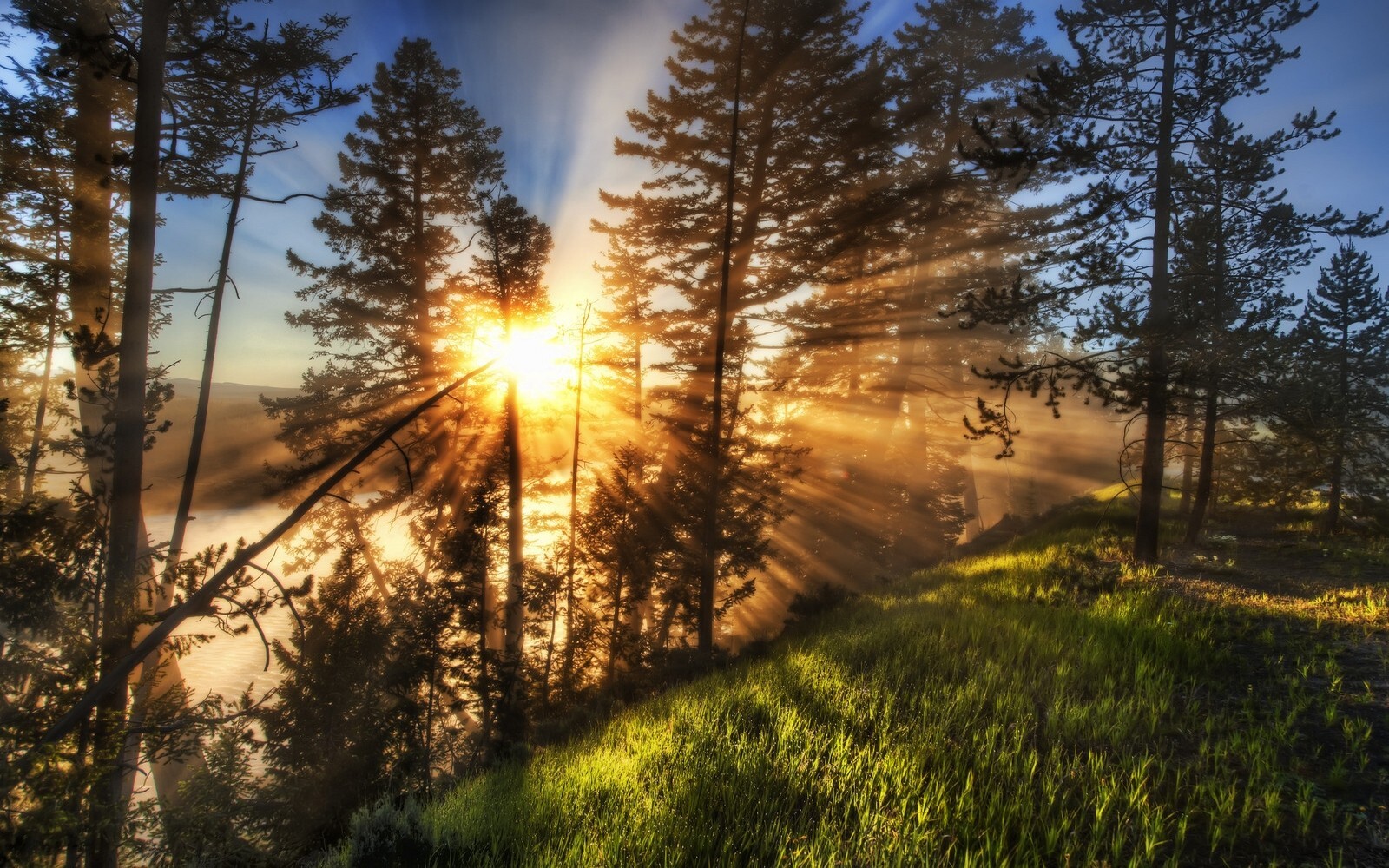 Landscape nature sun rays mist trees green grass path Custom Gaming Mat Desk
