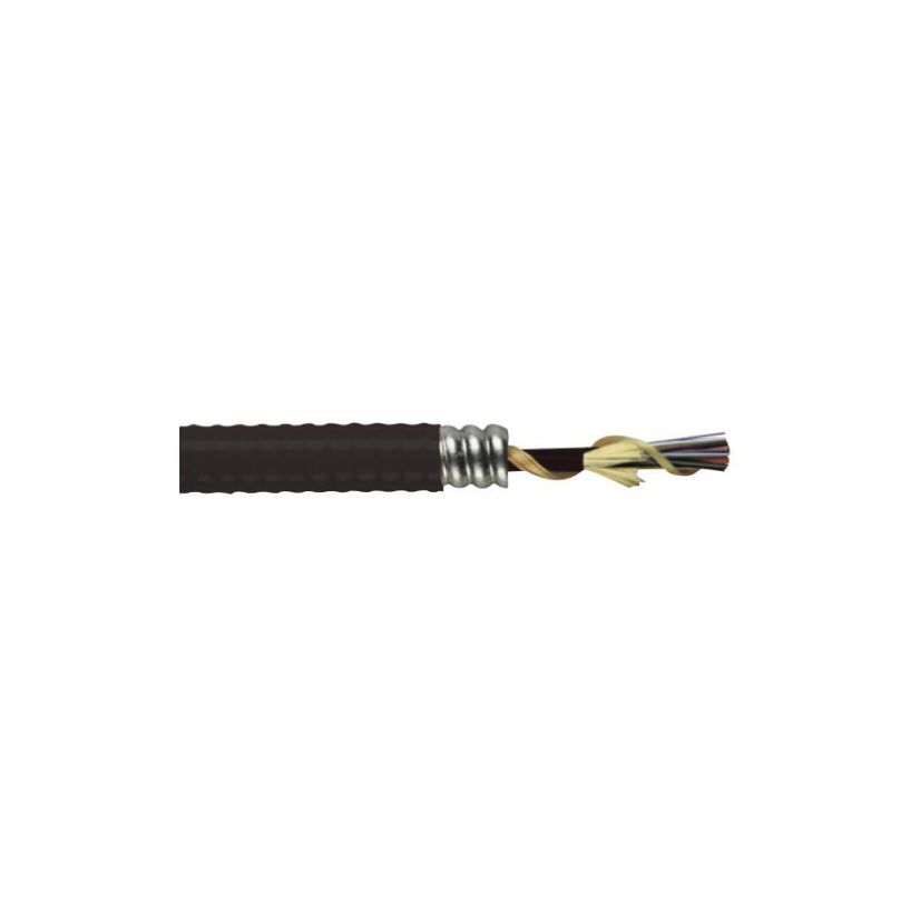 Fiber Optic General Cable 250FT CG0061ANU-ILPA - 6F MM 62.5 TB INTLK ALUM I/O