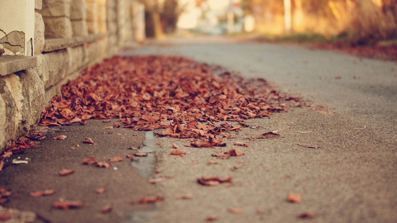 Landscape depth of field leaves street fall beige Custom Gaming Mat Desk