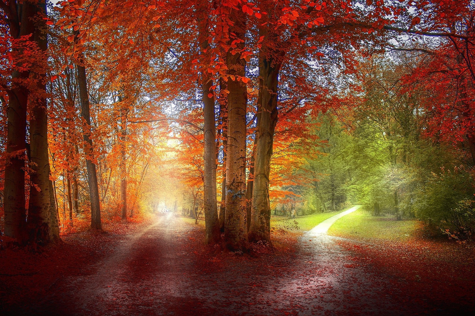 Landscape grass path red green orange nature trees fall Custom Gaming Mat Desk