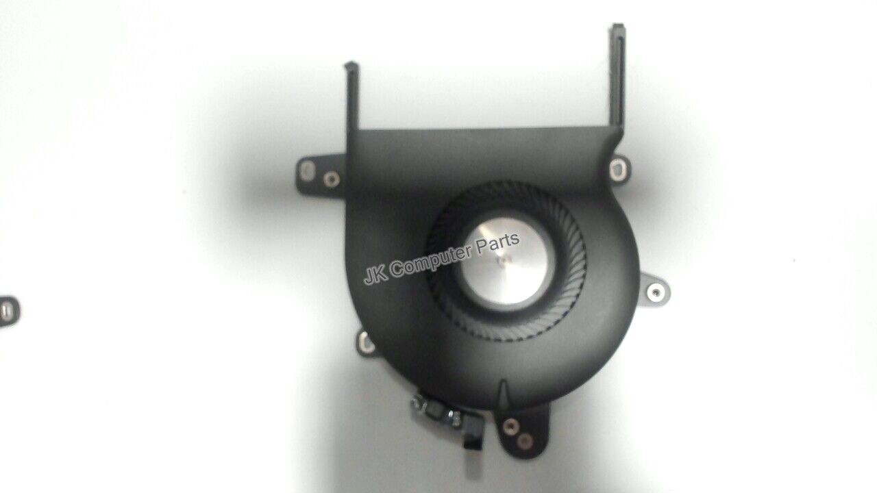 Fan, Right