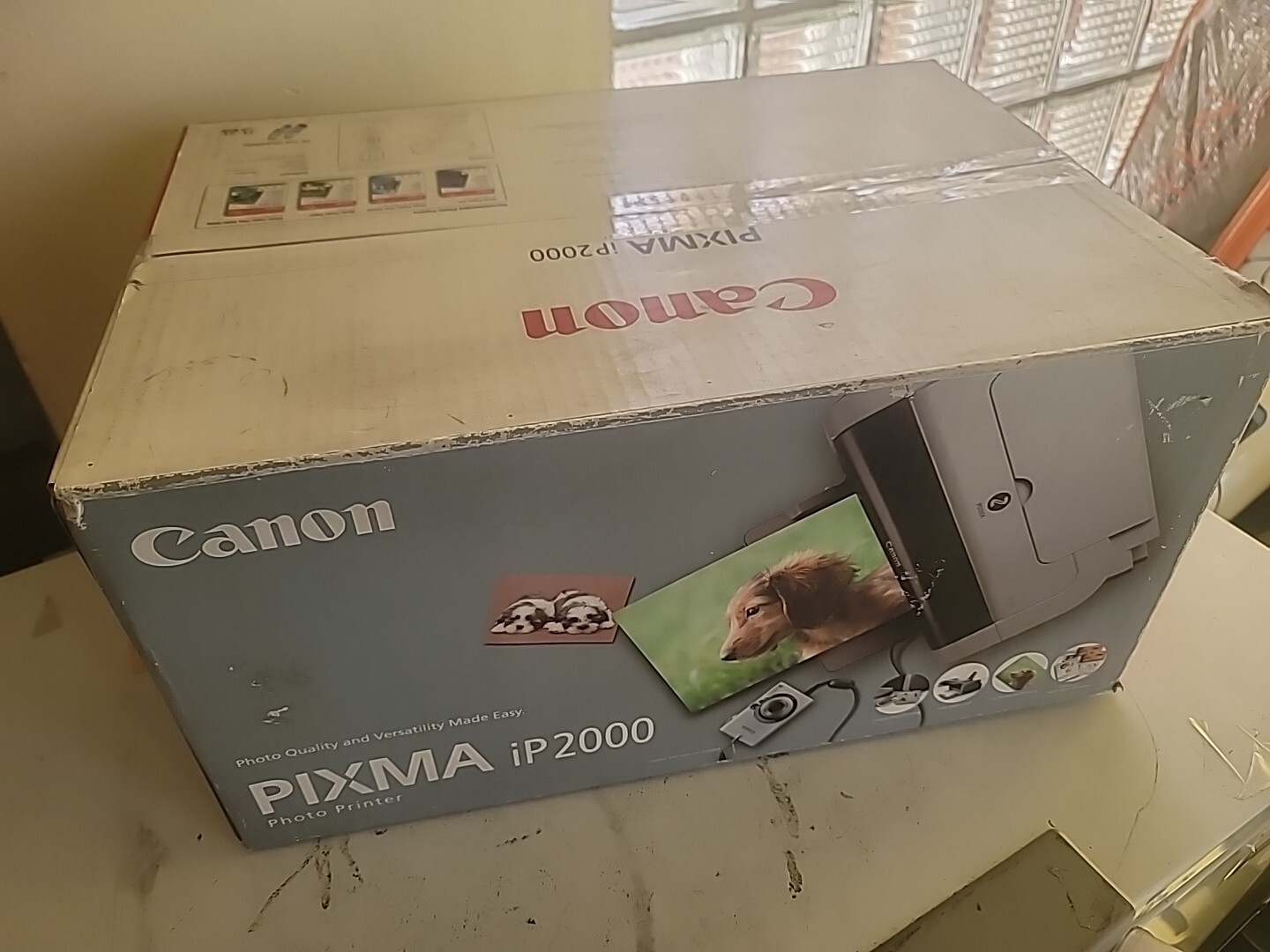 Canon PIXMA iP2000 Photo Inkjet Printer New