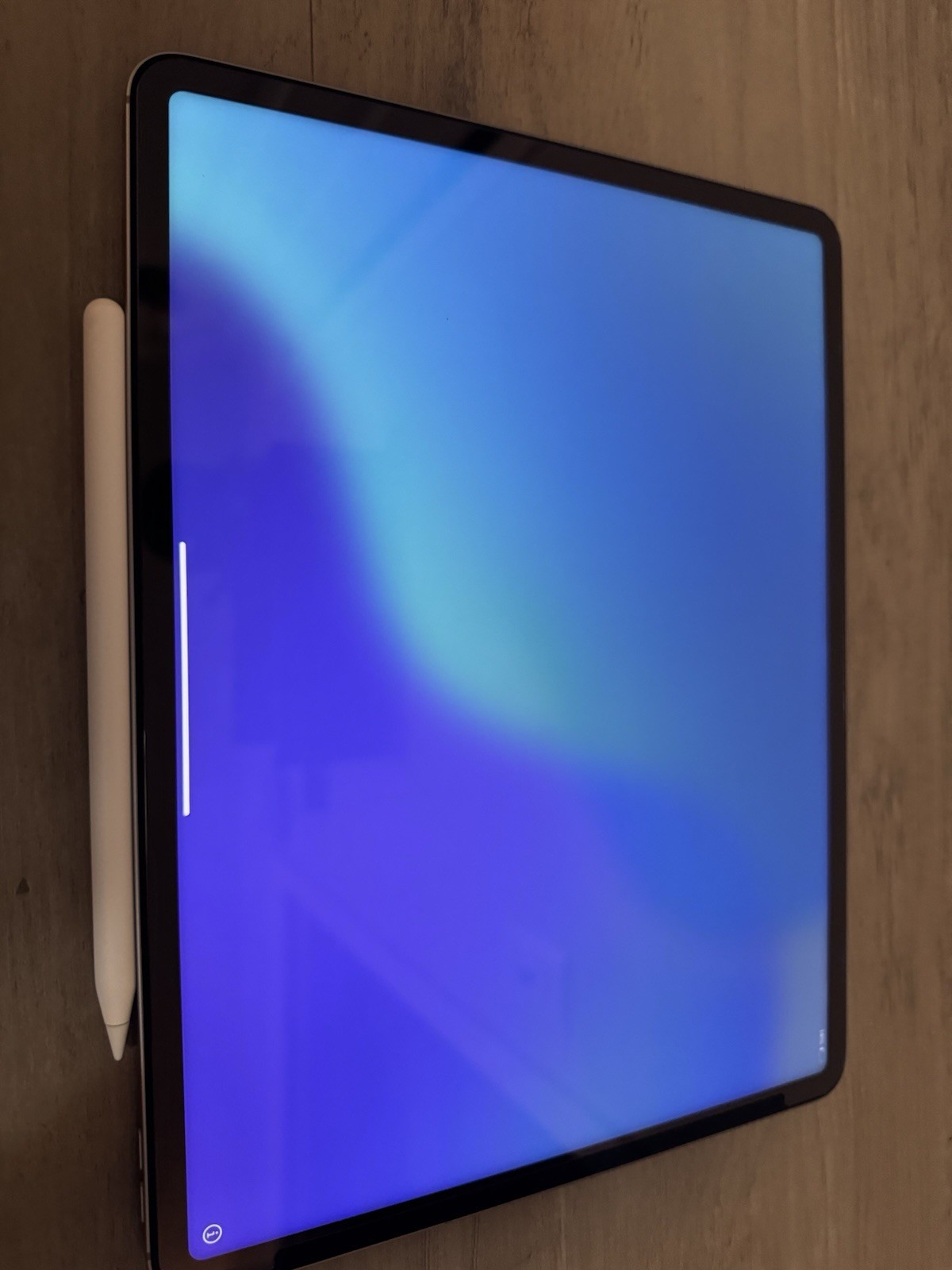 iPad Pro 12.9" 6th Gen 256GB Cellular (comes With Apple Pencil, And Extras)