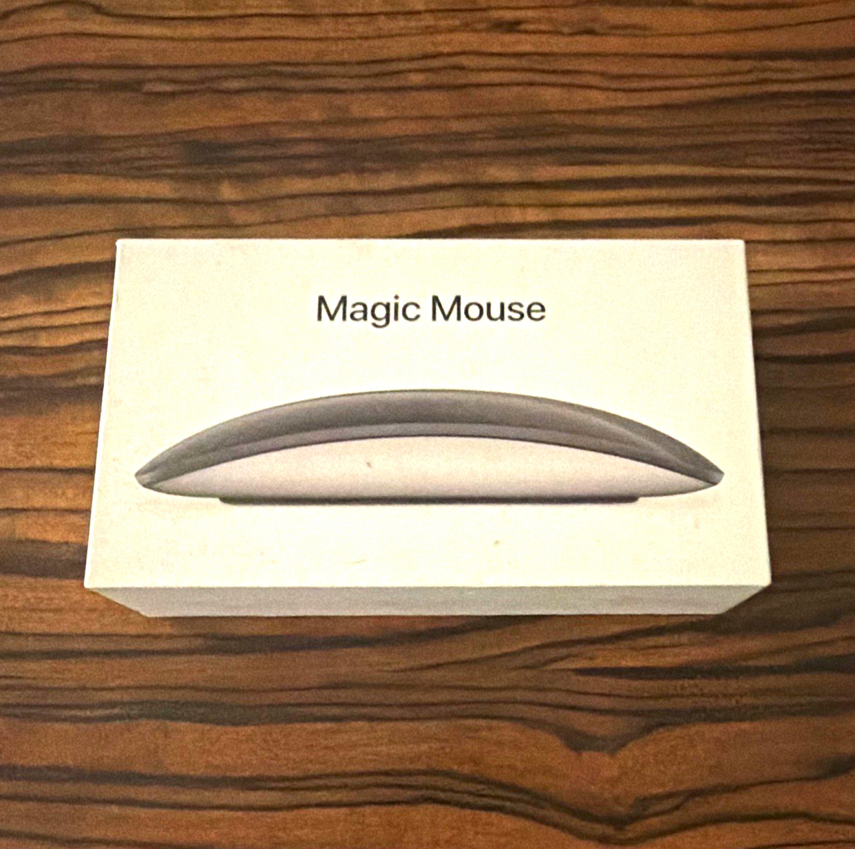 Apple Magic Mouse A1296 Wireless Multi-Touch Optical Mouse Silver 1-Button