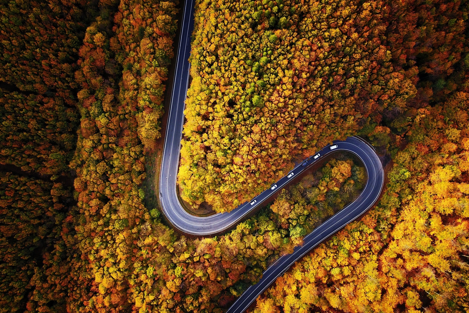 Landscape aerial view road trees fall Custom Gaming Mat Desk