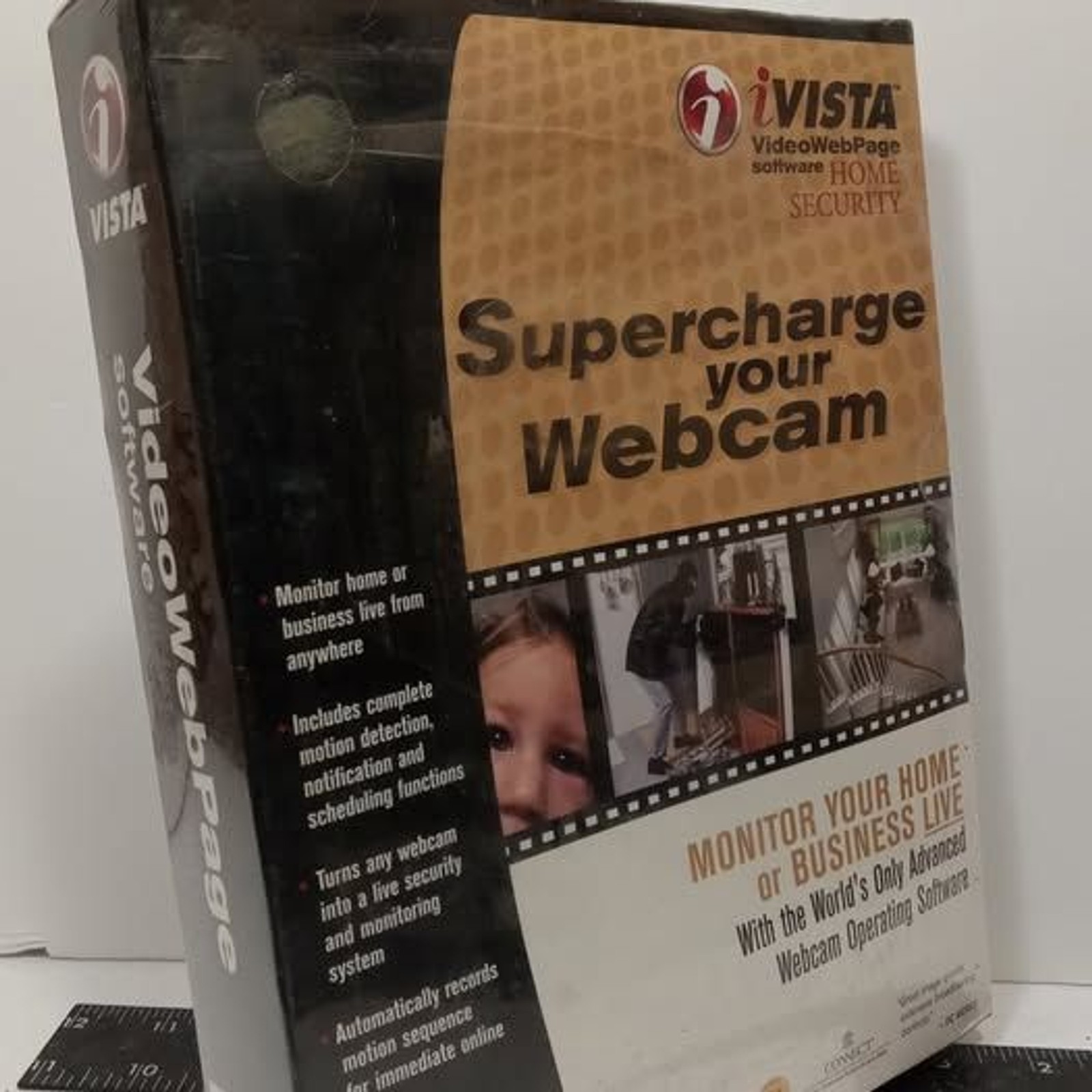 iVISTA VideoWebPage Home Security Webcam Software