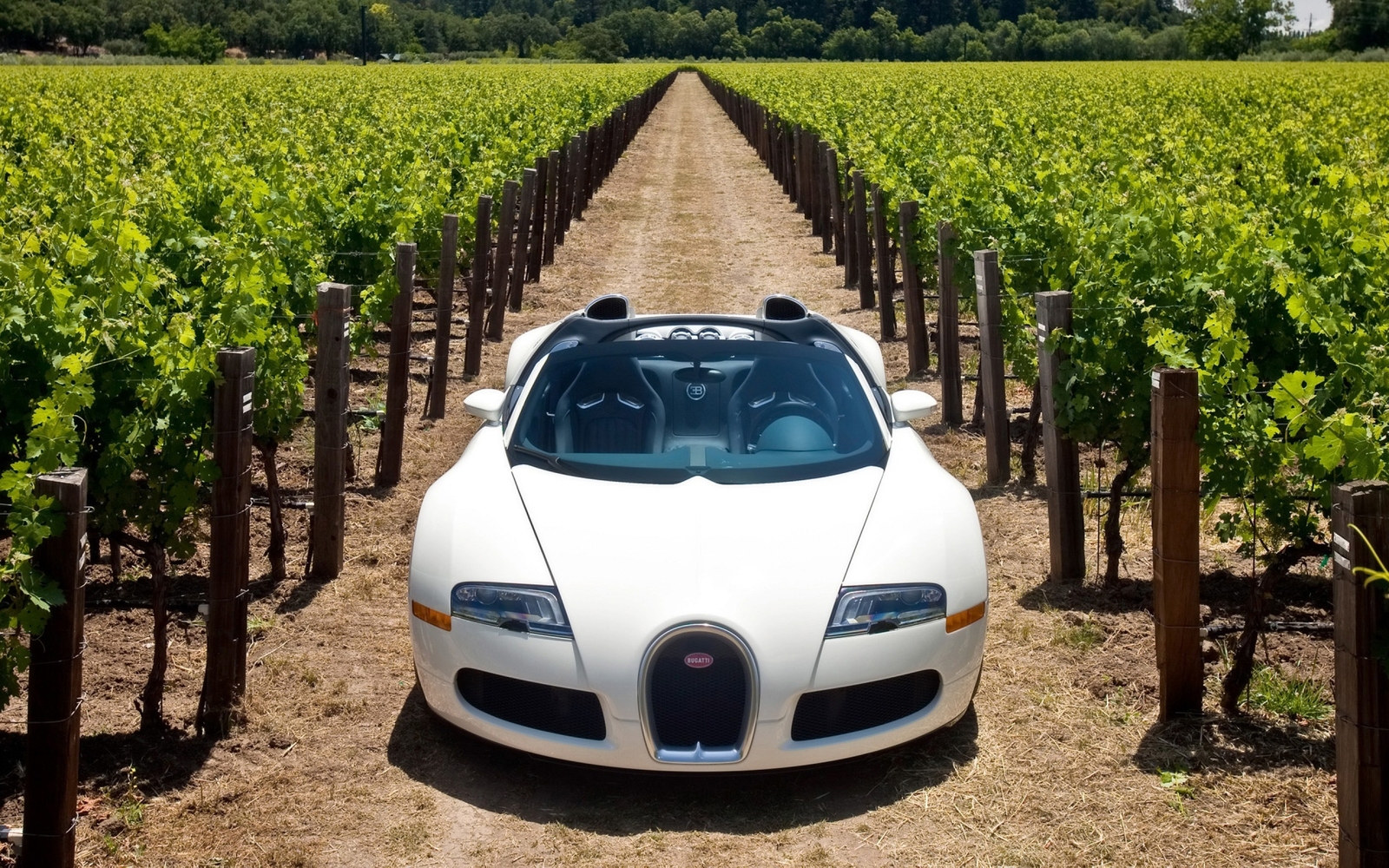 Cars bugatti veyron 164 grand sport 2010 in napa valley Desk Mat Stitched