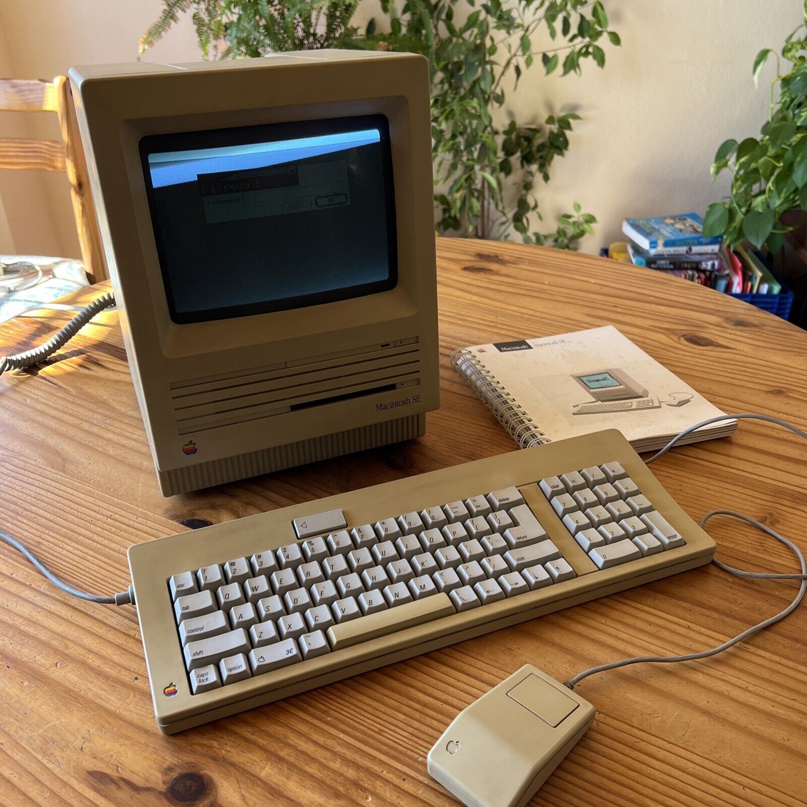 Apple Macintosh SE  Vintage Computer