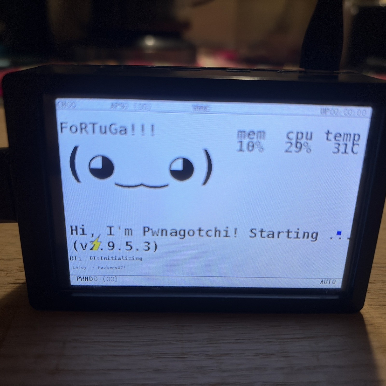 Pwnagotchi Digital WiFi Pet CASE, USB WIFI INCLUDED 