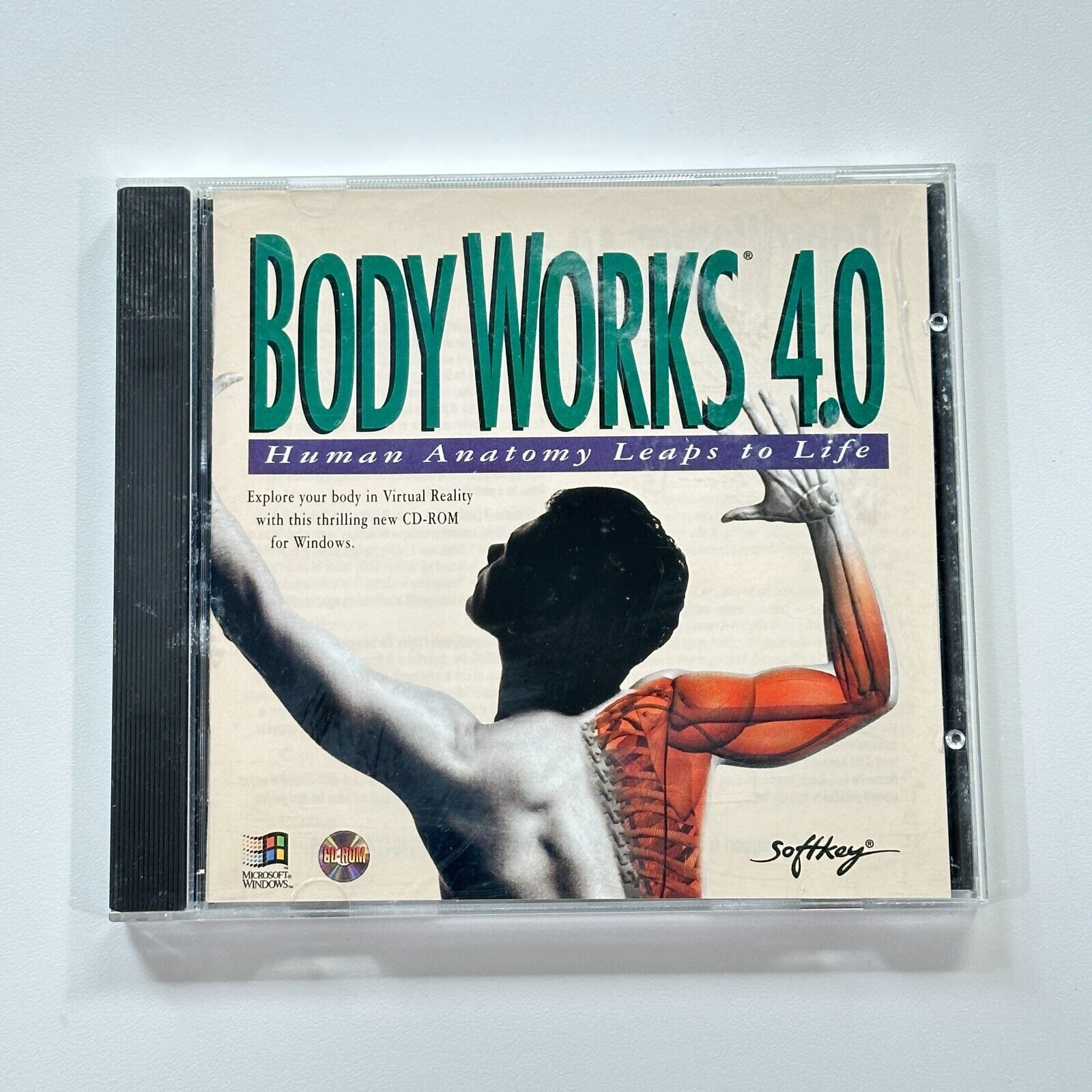 Body Works 4.0 Human Anatomy Leaps To Life Windows PC CD-Rom Software