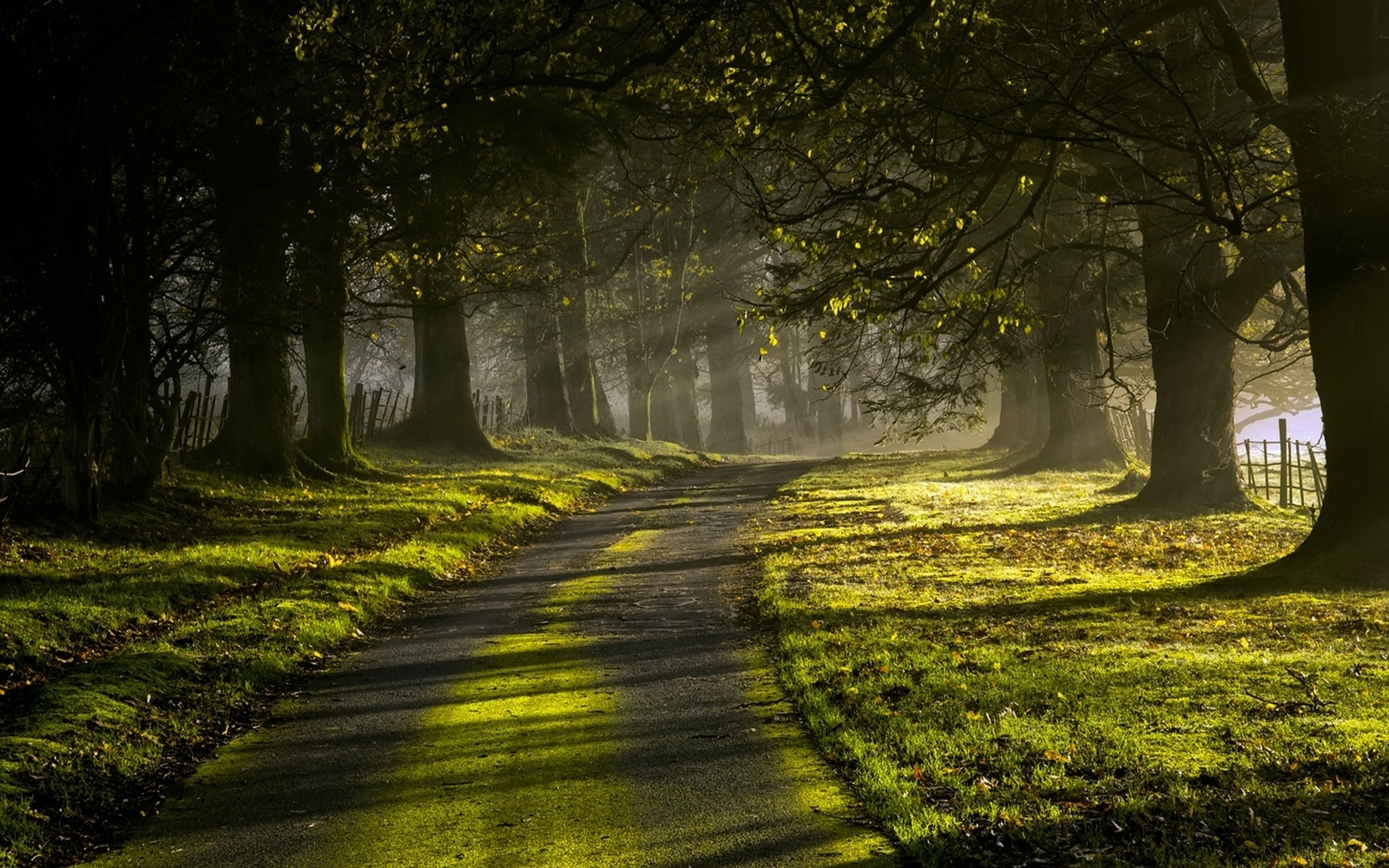 Landscape nature sun rays road trees grass green fence Custom Gaming Mat Desk