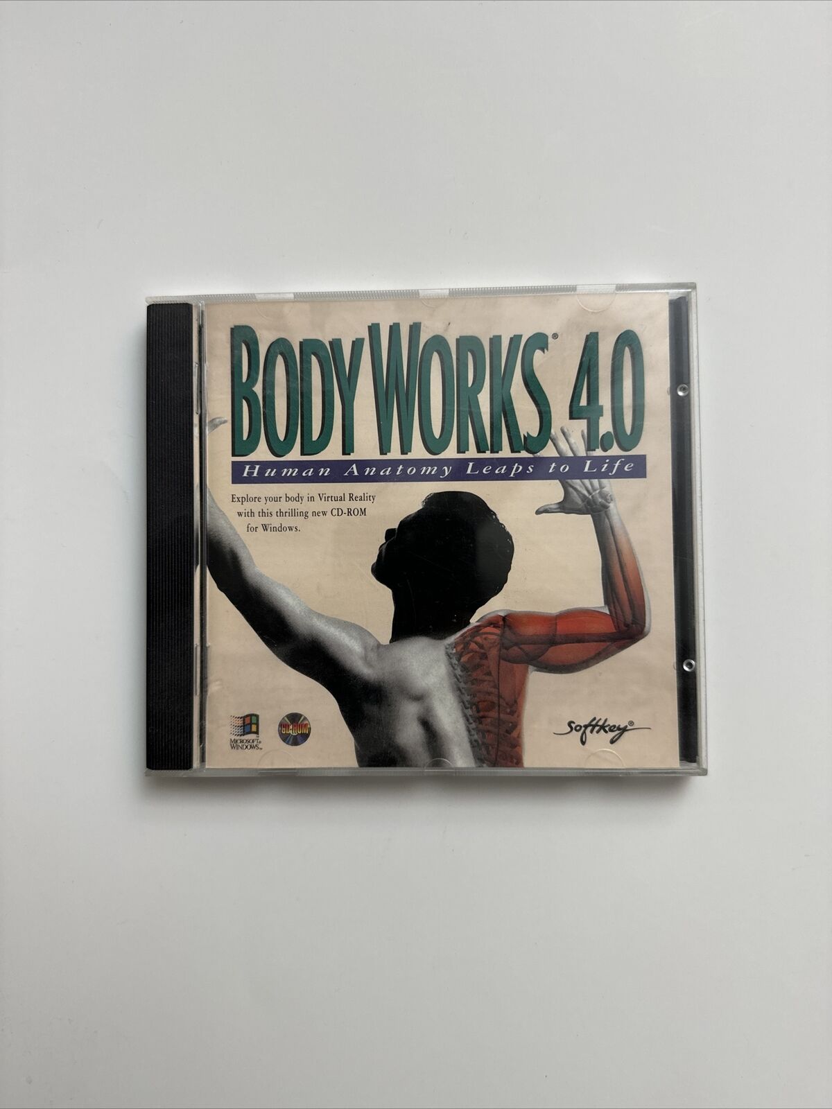 Body Works 4.0 Human Anatomy Leaps To Life Windows PC CD-Rom Software