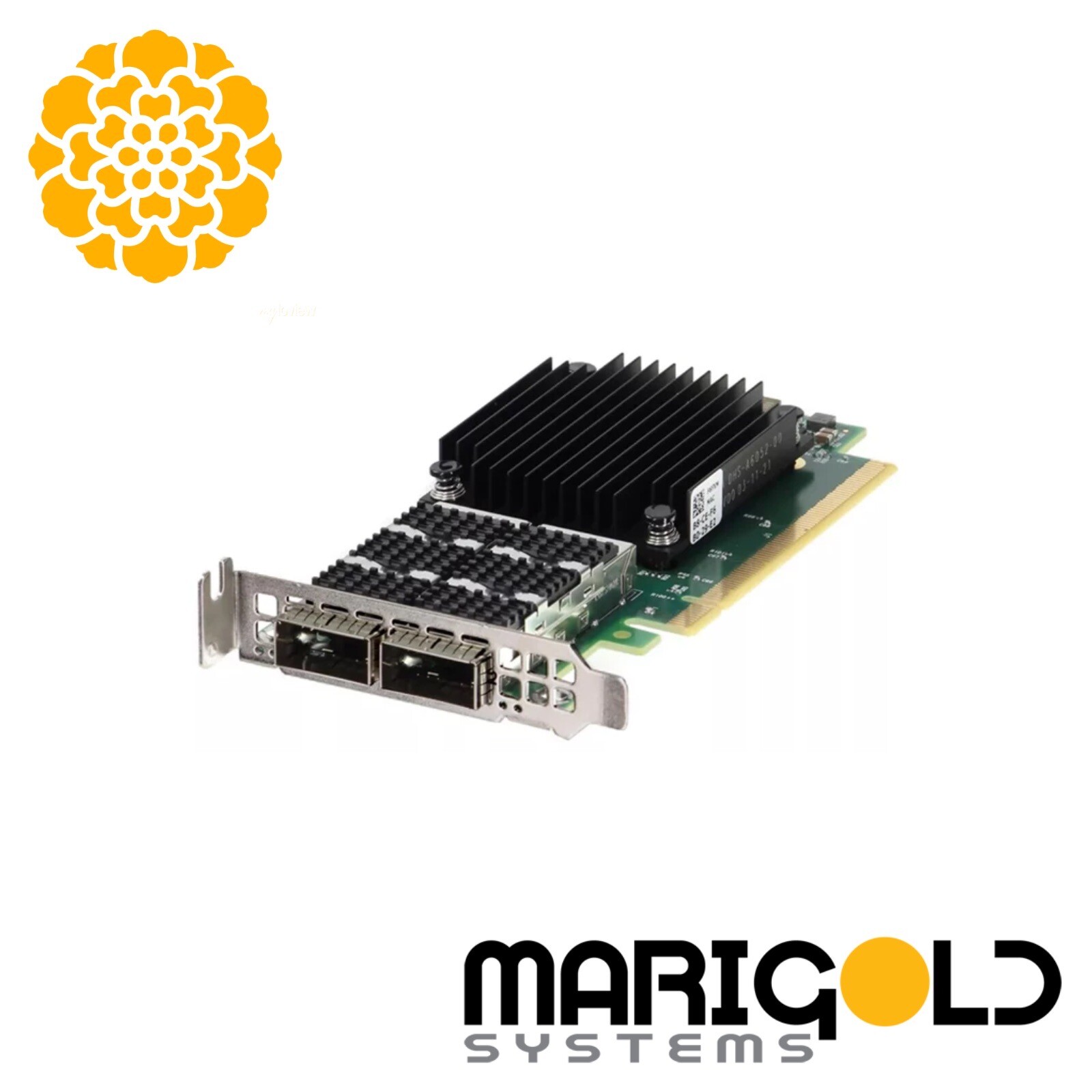 Dell Mellanox Connectx-6 2x 100Gb QSFP56 NIC w/ LP Bracket F6FXM 0F6FXM 