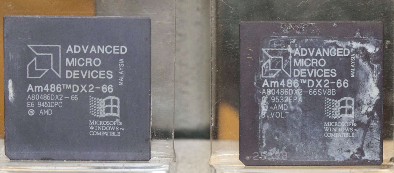 Vintage AMD 486DX2-66 Processor Am80486DX2-66  Socket 3 Gold