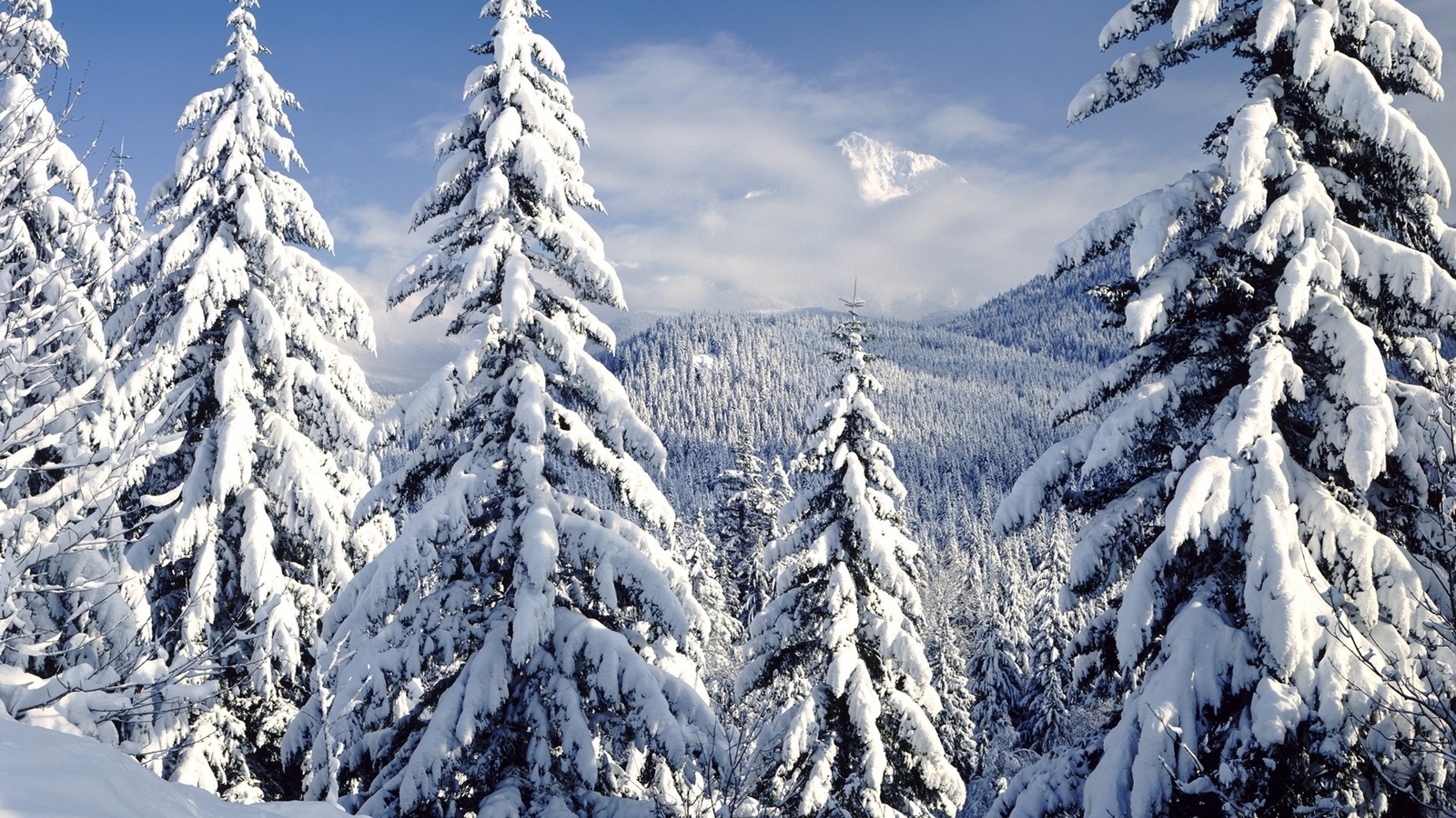 Landscape nature winter snow frost pine trees snowy peak Custom Gaming Mat Desk