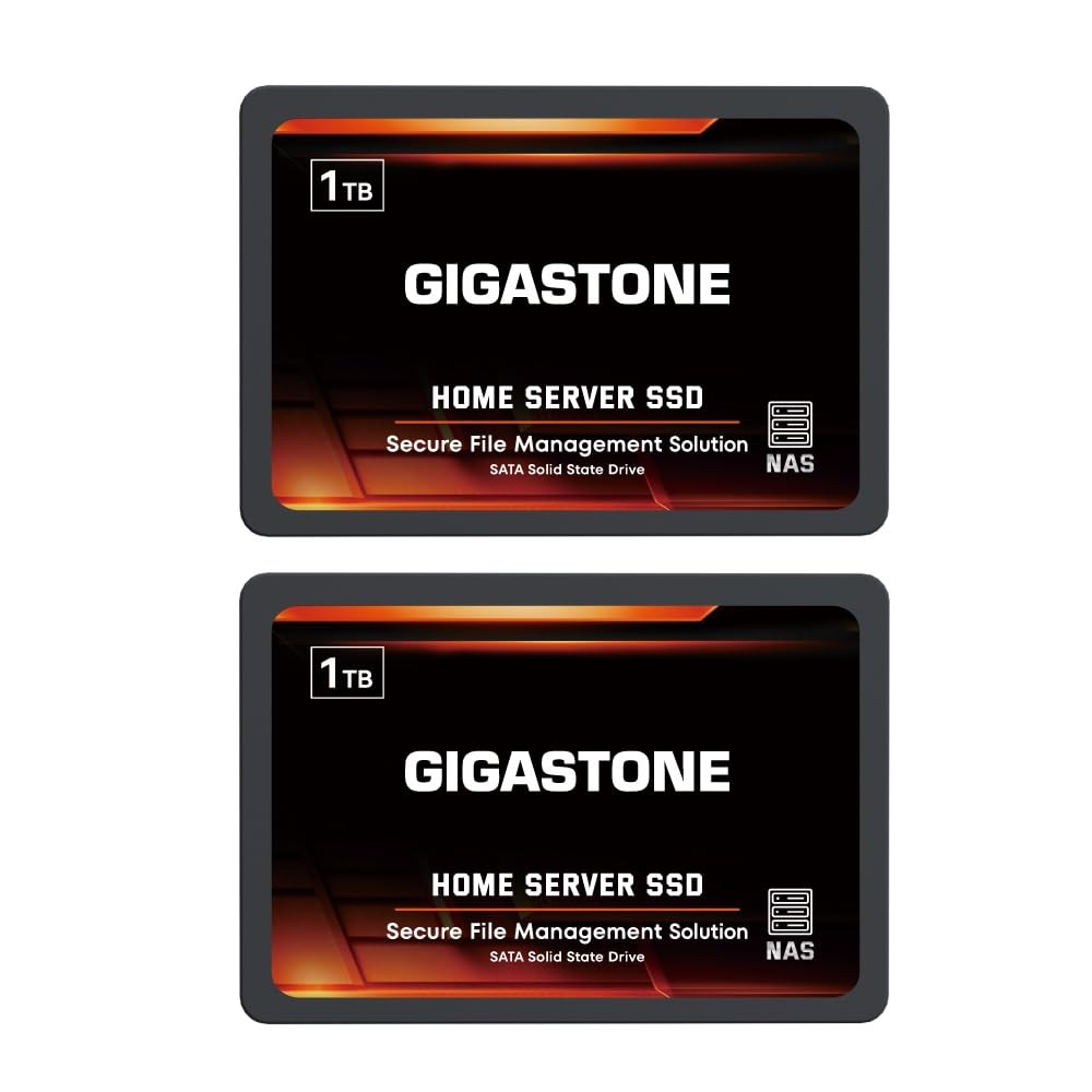 Gigastone 【NAS Certified】 1TB Home Server 1TBx2, SSD 2-Pack