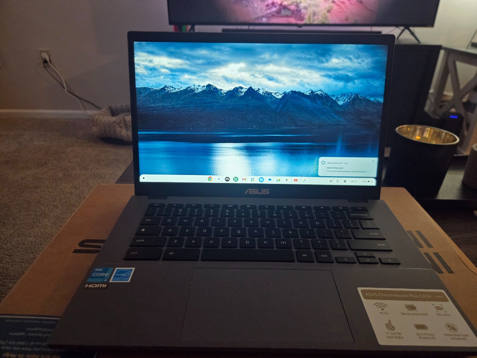 Asus Cromebook (with STEAM)