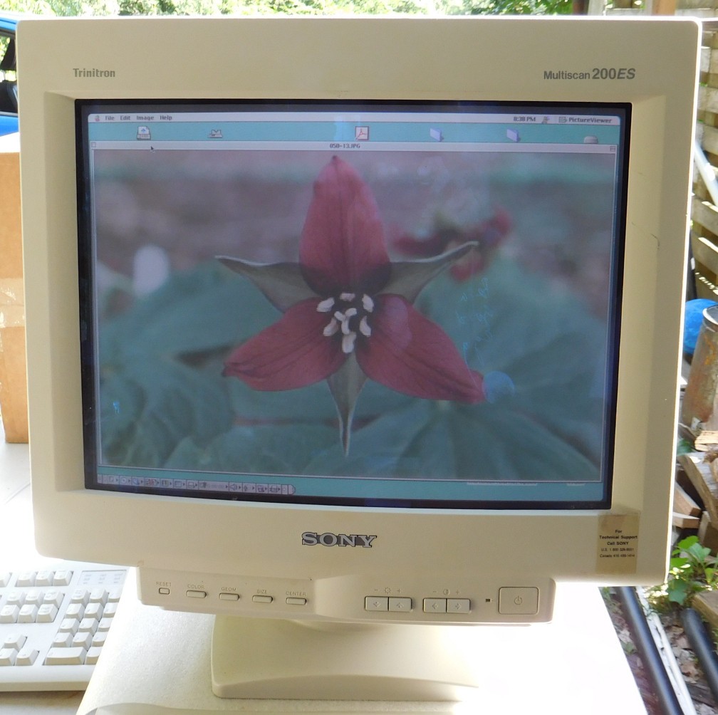 Vintage Sony 17" VGA CRT Monitor CPD-200ES Trinitron Multiscan Tested Works