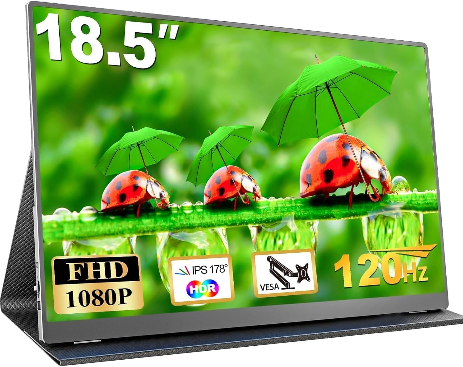 18.5 Inch Portable Monitor, 120Hz 1080P FHD 100% sRGB USB-C HDMI Portable
