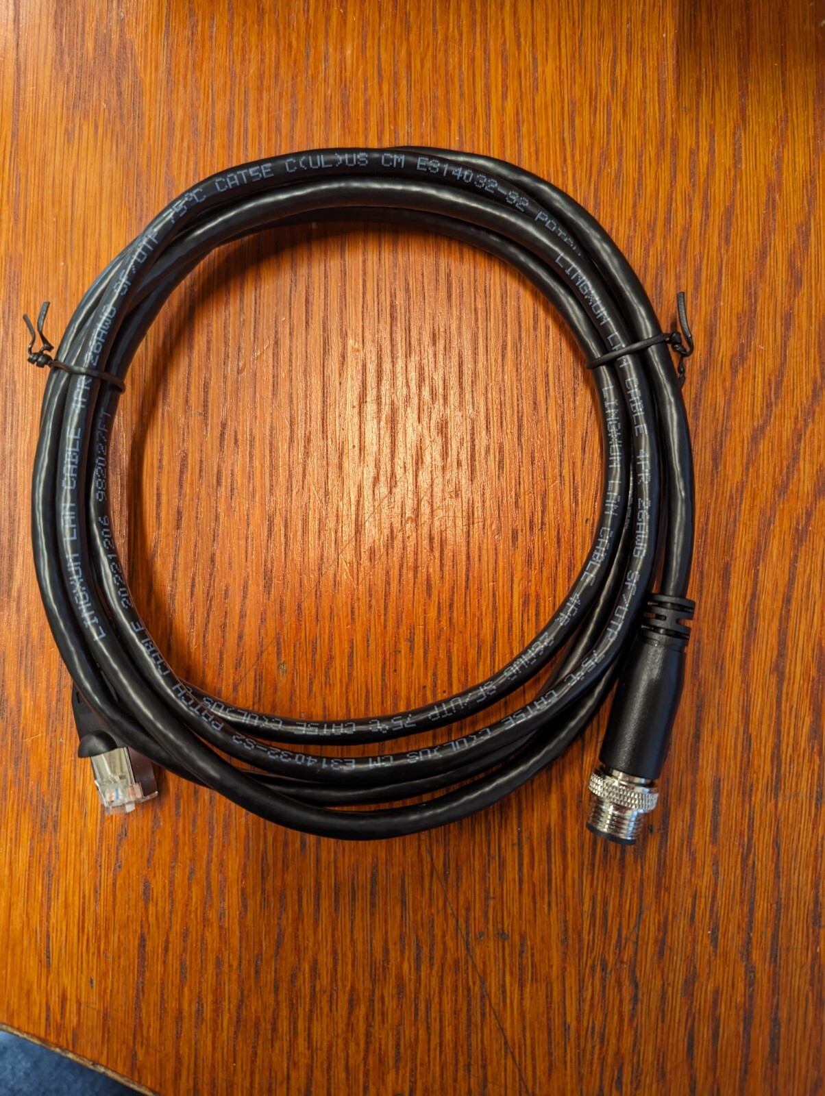 Cat5E Lan Ethernet Cable, RJ45 and 4 Pin M12 D-Coded Connectors, 2 Meters Long
