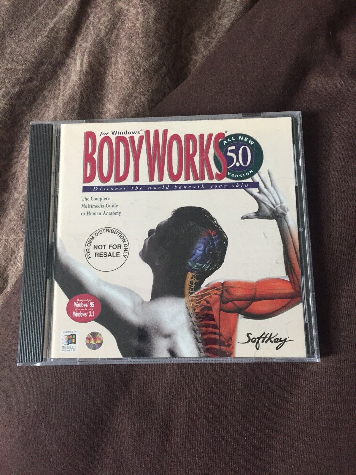 BodyWorks 5.0 CD-ROM - Multimedia Guide to Human Anatomy