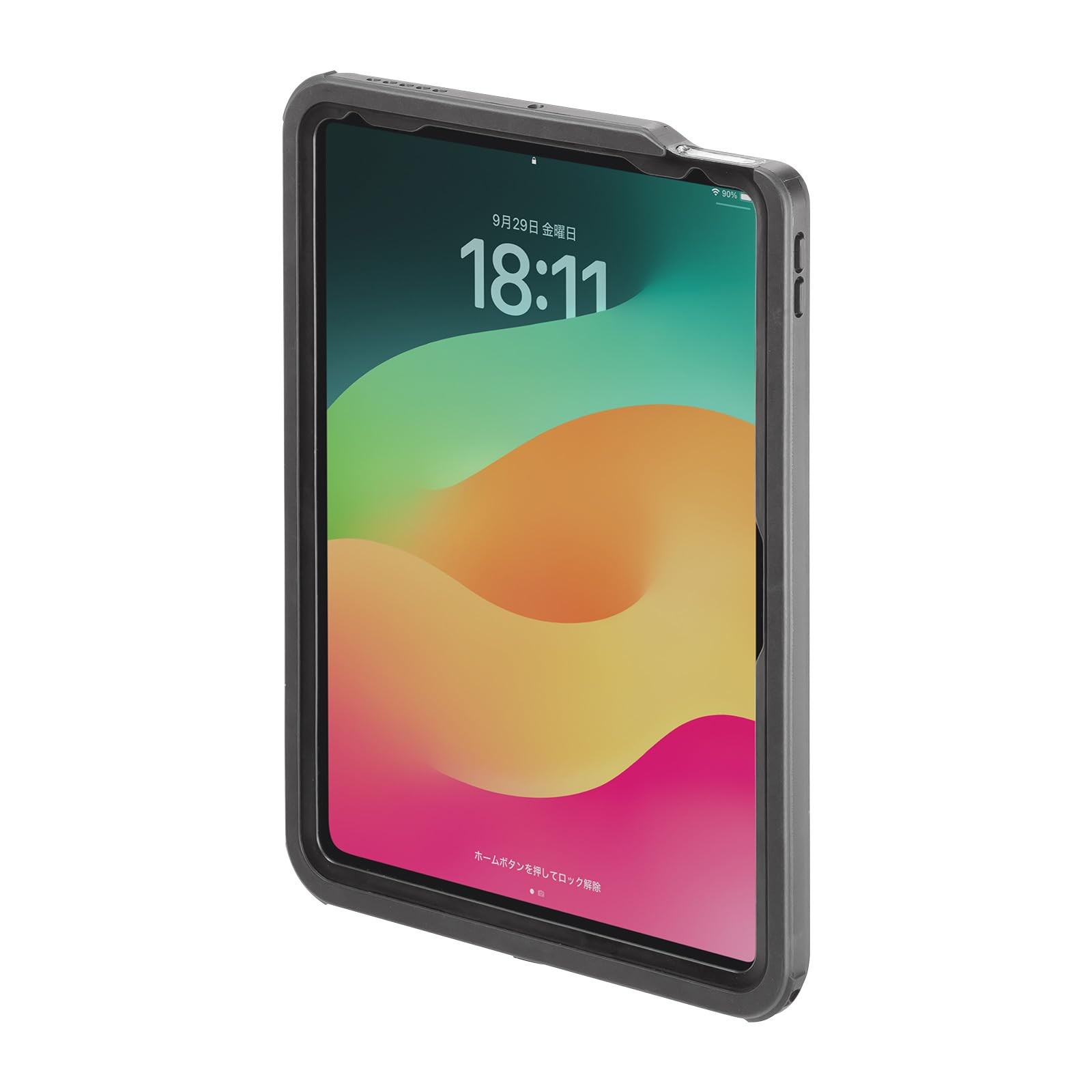 Sanwa Supply Shockproof and Waterproof Case for iPad Air 11-inch