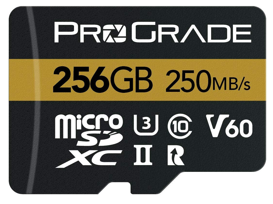 microSD Card V60 (256GB) - Tested to Work with Full-Size 256GB, Memory