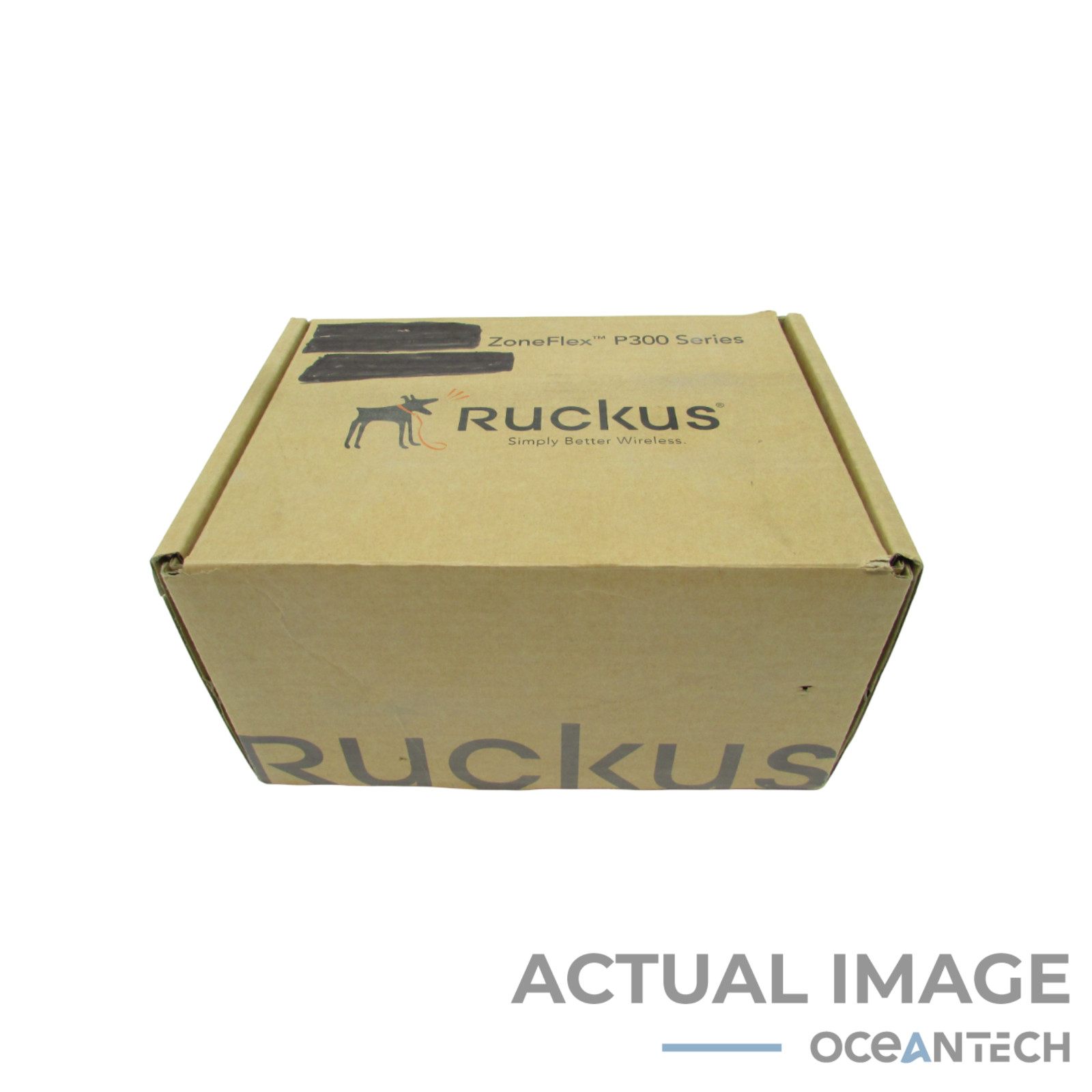 New Open Box Ruckus 901-P300-WW01 Wireless Ethernet Bridge