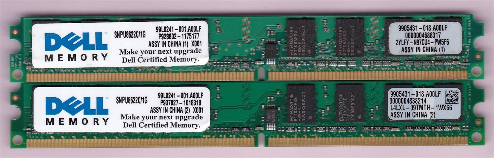 Dell 2GB Kit 2x1GB PC2-5300 DDR2-667 DIMM Desktop RAM Memory SNPU8622C/1G Elpida