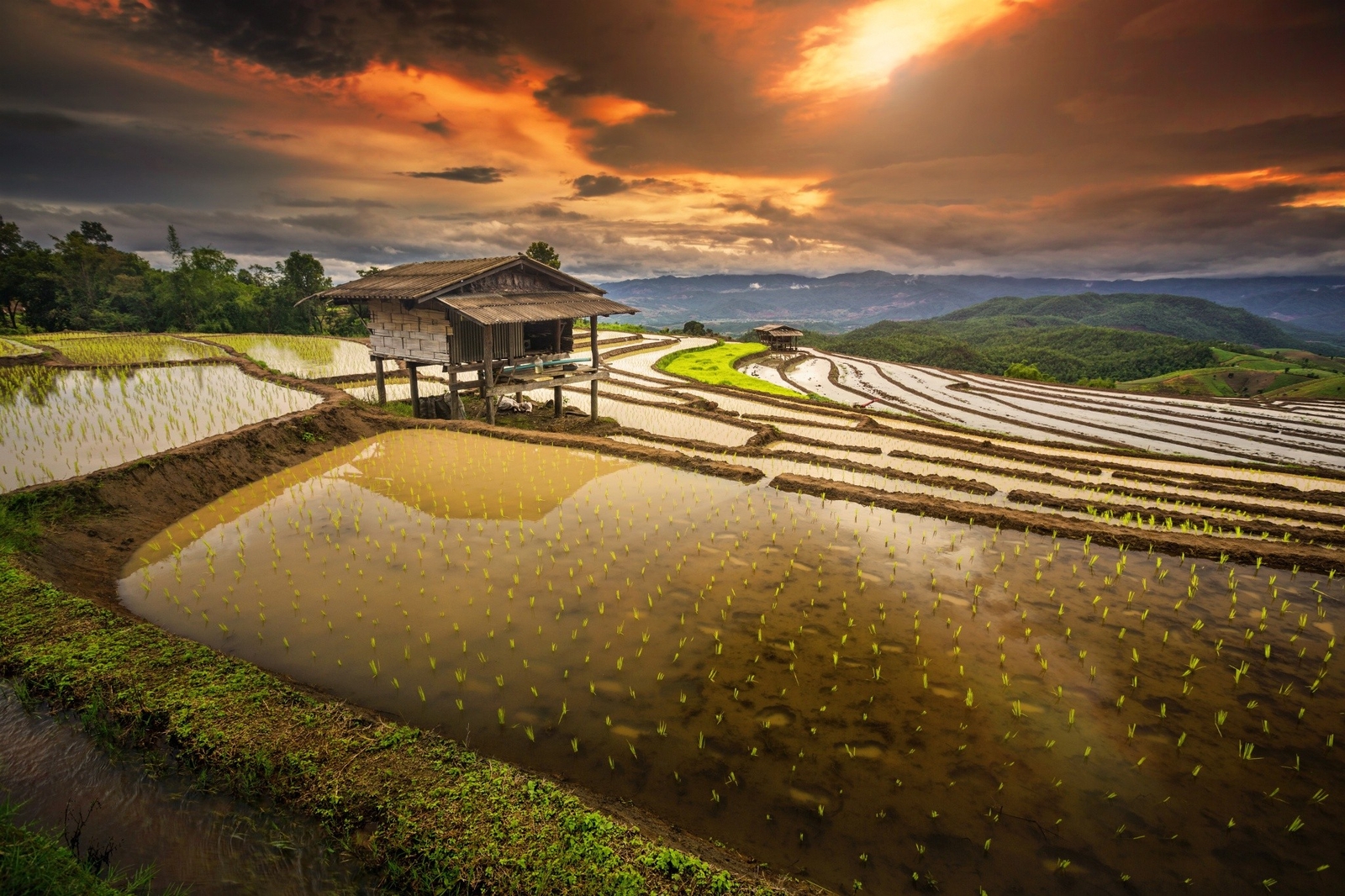 Landscape rice fields terraces hut water clouds hills Custom Gaming Mat Desk
