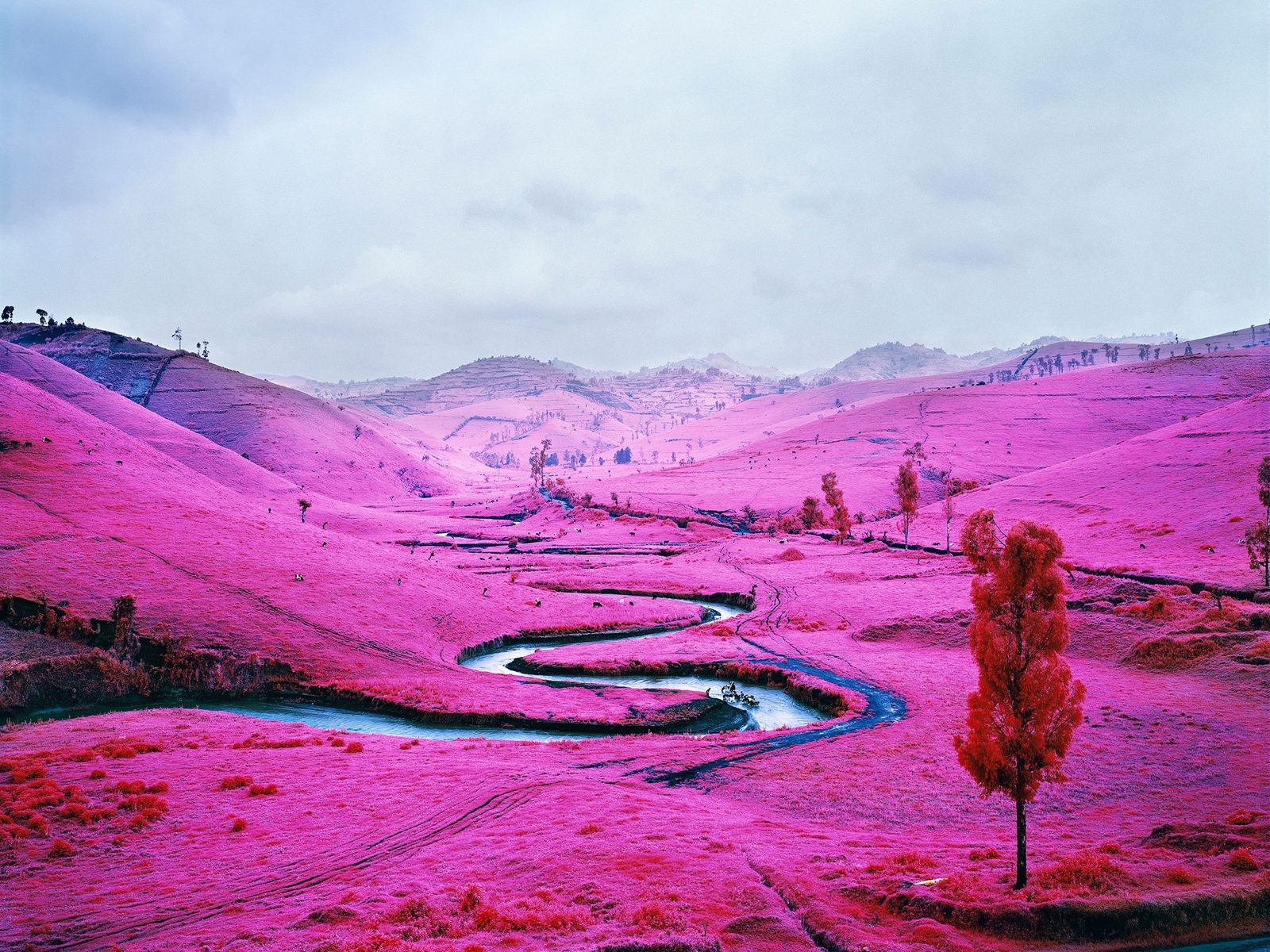 Landscape nature trees water infrared river field pink Custom Gaming Mat Desk