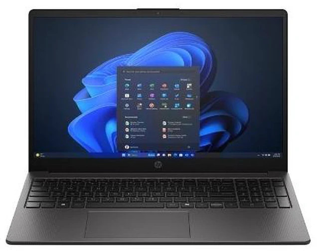 HP 250R G10 15.6 in FHD IPS Core 3 100U 8GB DDR4 256GB SSD Home Gray