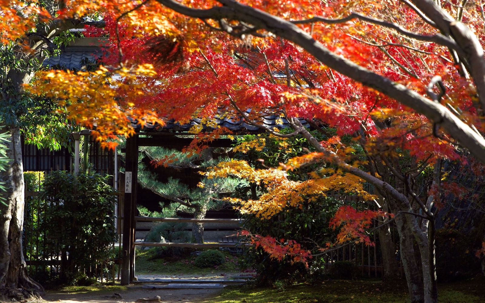 Landscape japan kyoto trees leaves garden Custom Gaming Mat Desk