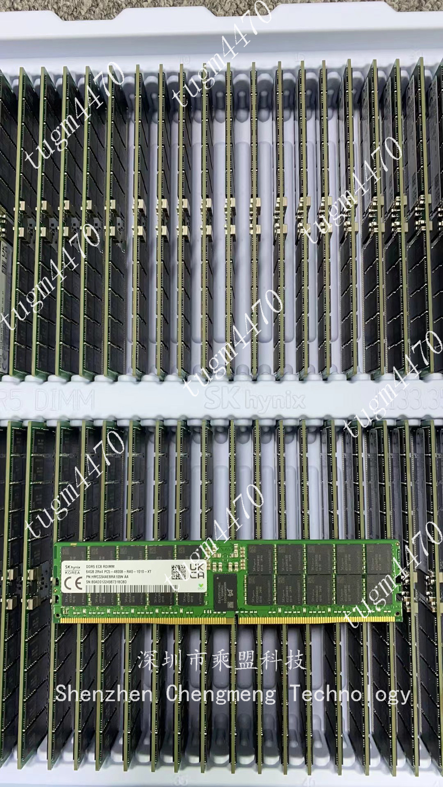 SK Hynix 64GB2Rx4 DDR5 RDIMM PC5-4800B-RAD-1010-NT