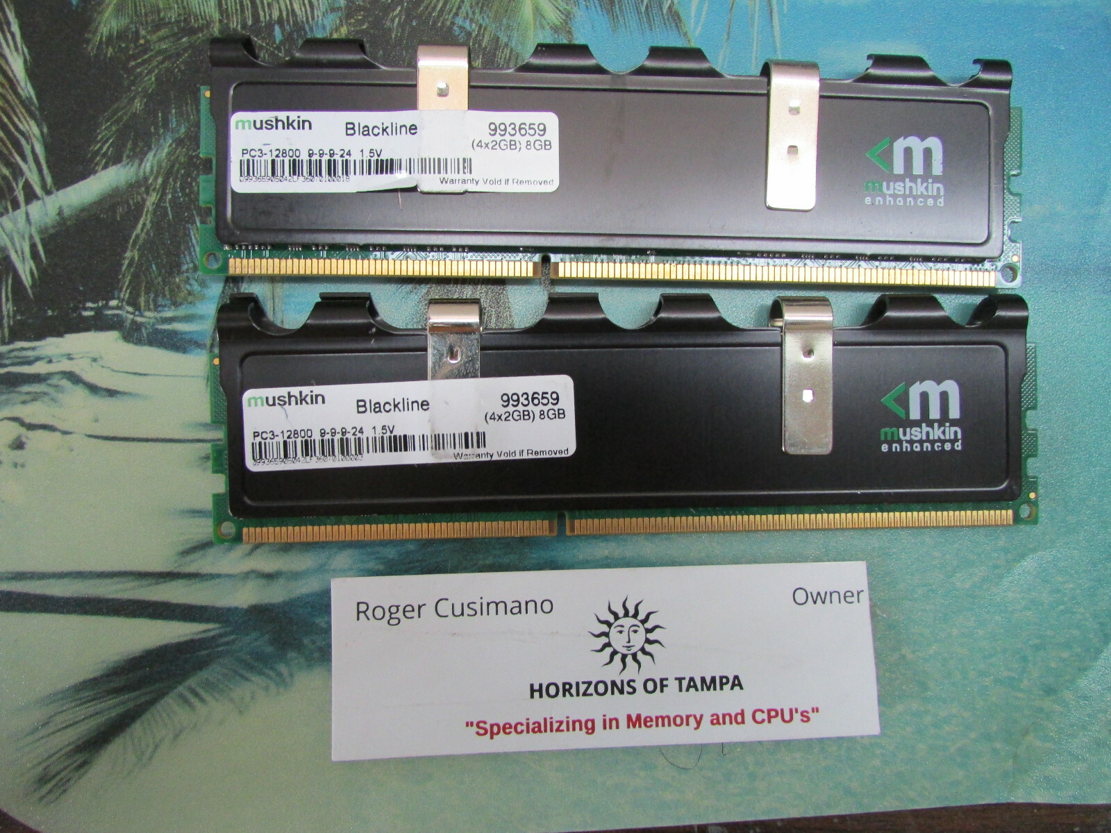 Mushkin Enhanced Blackline 4GB (2x2GB) RAM PC3-10600 DDR3-1600MHz SDRAM 993659